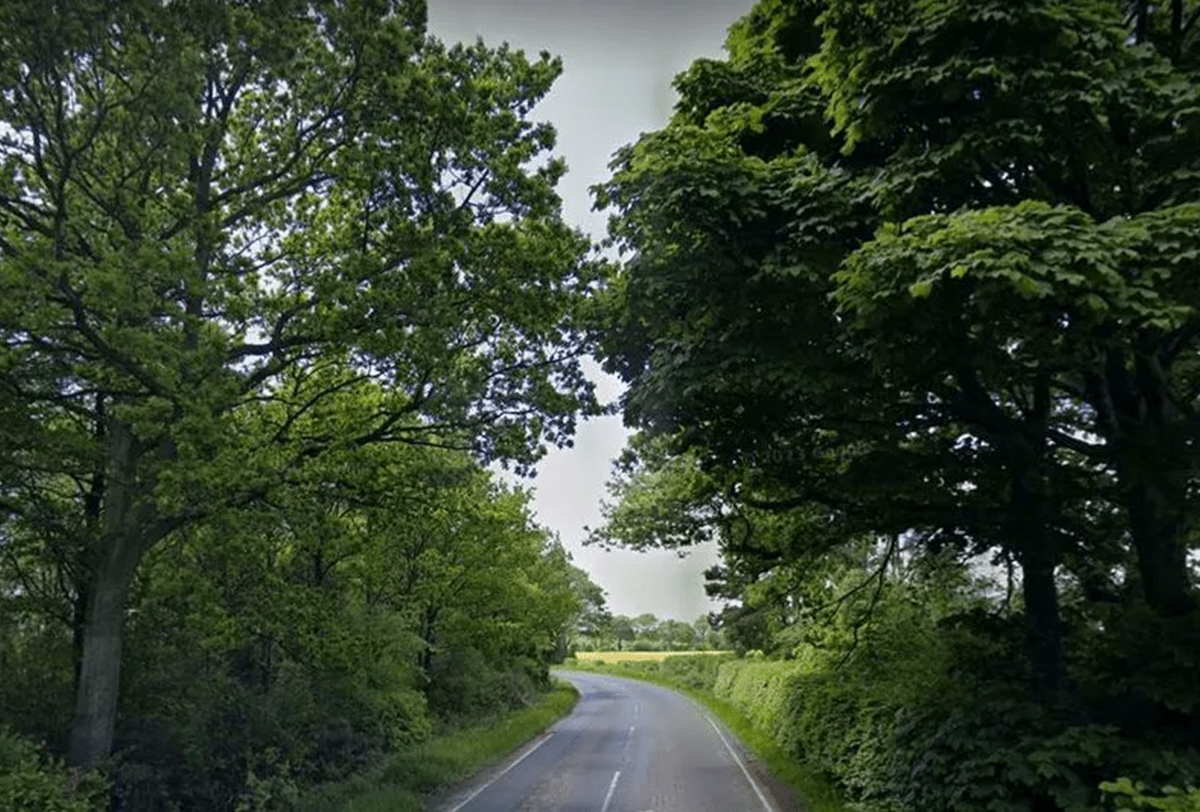 Howden hen crossing image 2