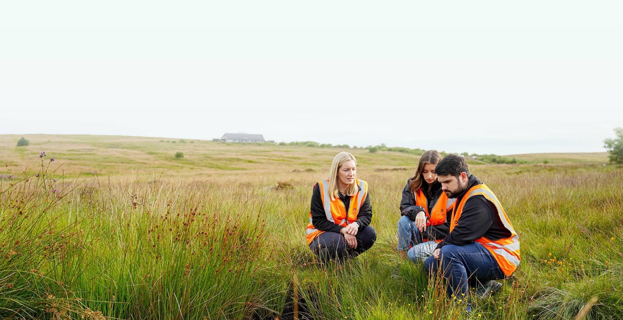 field assessment showing group of cogeo employees in a field